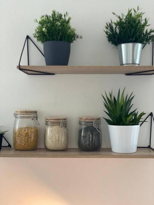 Appartement Quartier Ecole D'agronomie Montpellier